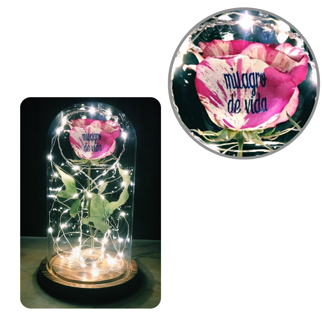 Miracle Enchanted Rose Lamp