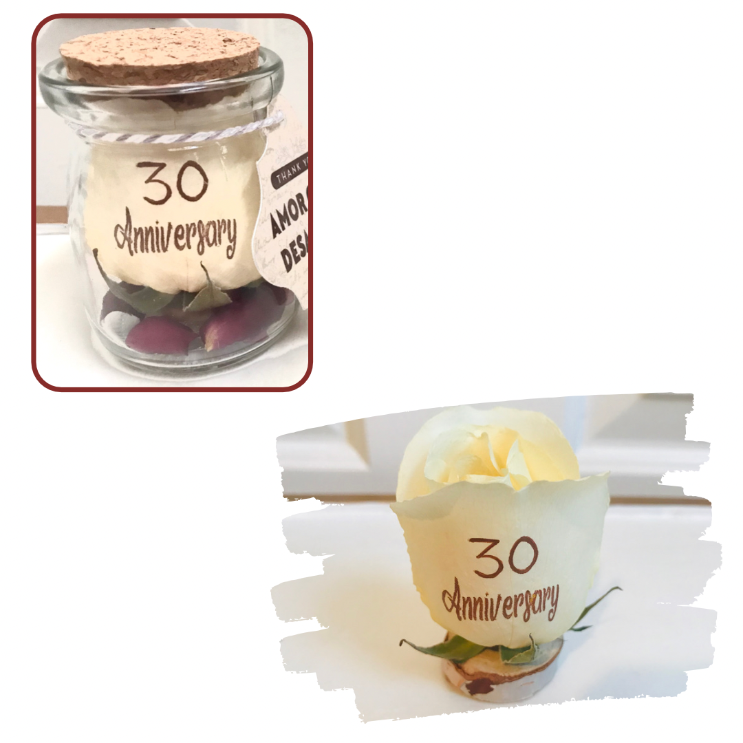 White Jar Mini Rose