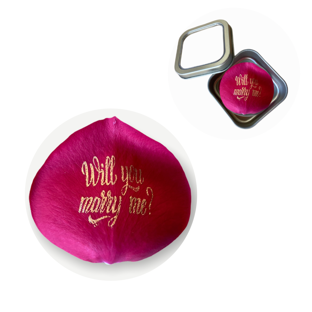 Will you marry me? Preserved Rose Petal