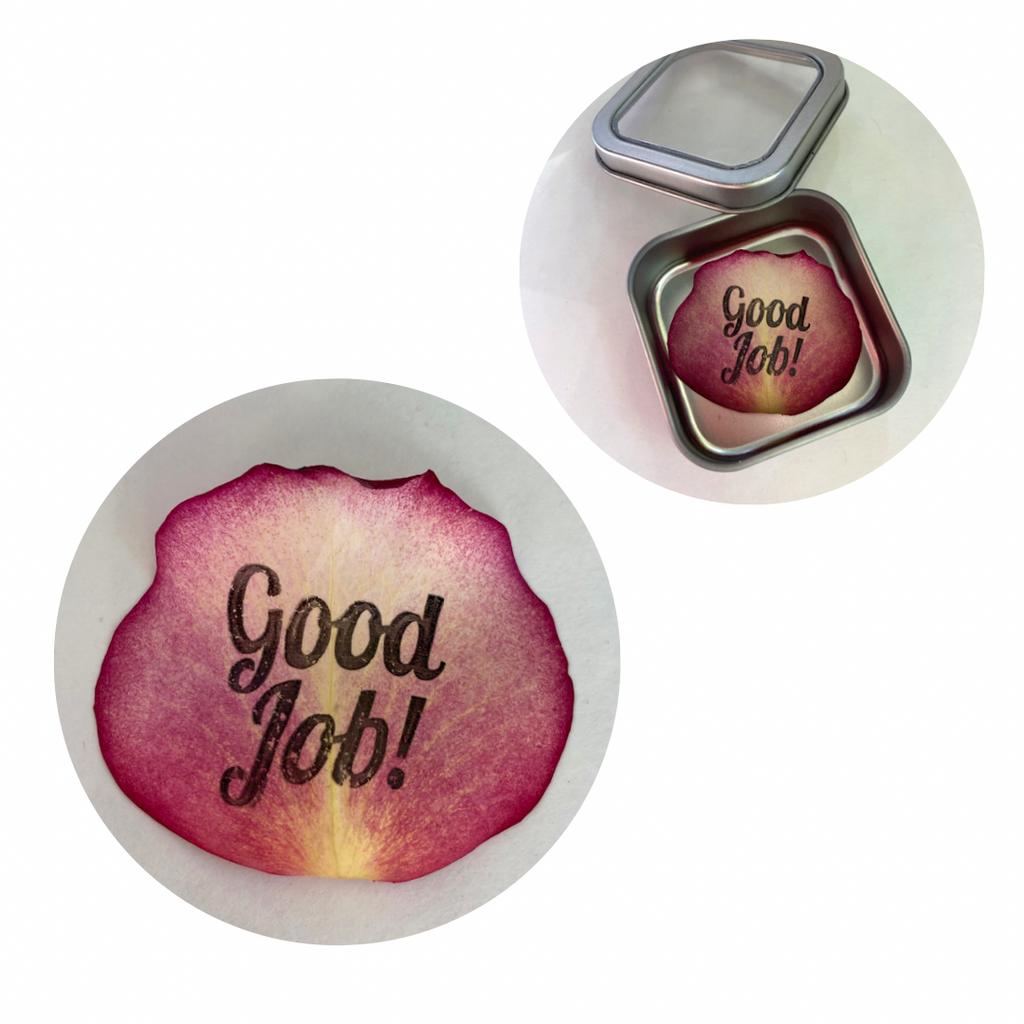Good Job Preserved Rose Petal