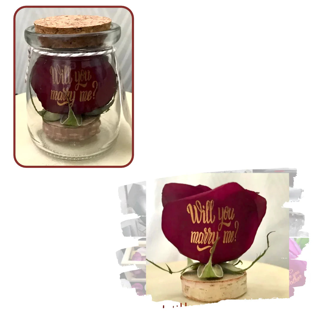 Burgundy Jar Mini Rose