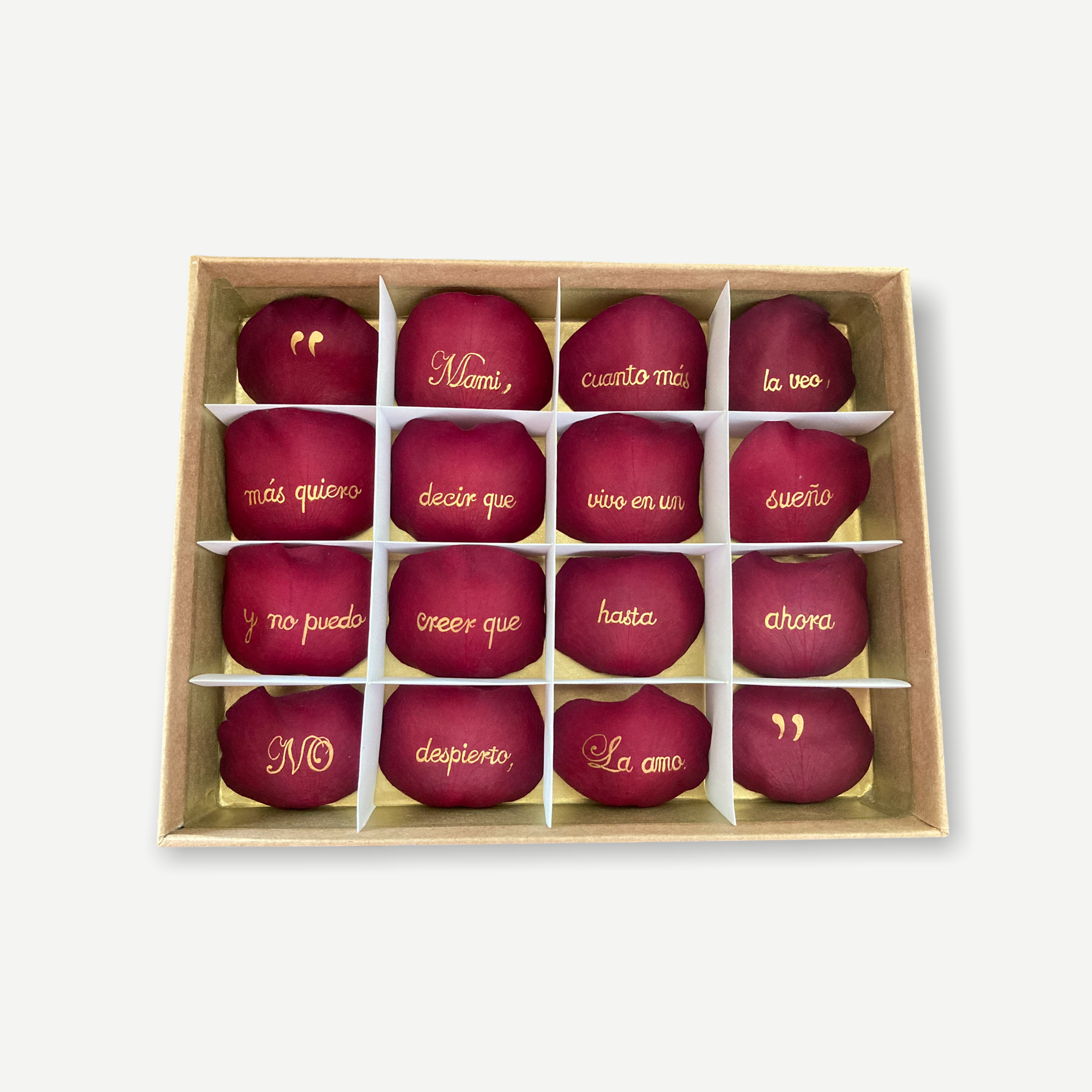 Custom Love Letter in Rose Petals (Type your own phrase/and or letter)