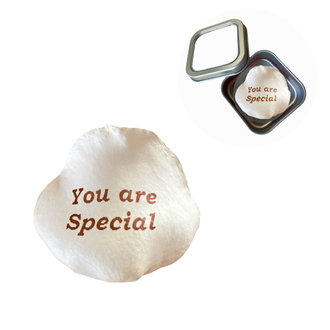 You are special Preserved Rose Petal