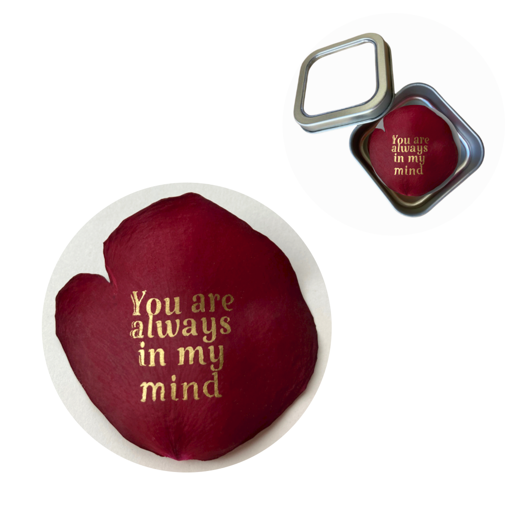 You are always in my mind Preserved Rose Petal