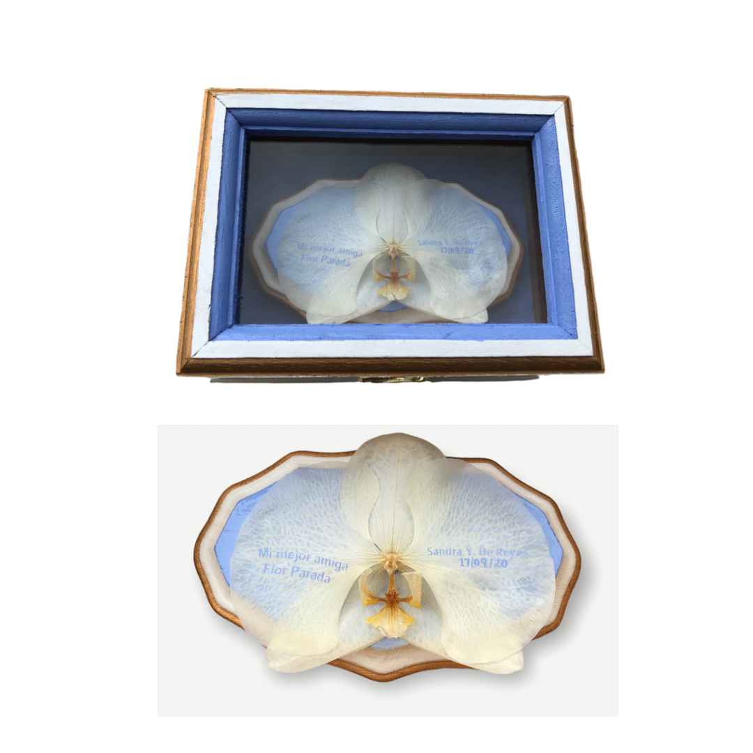 Preserved Beige Orchid