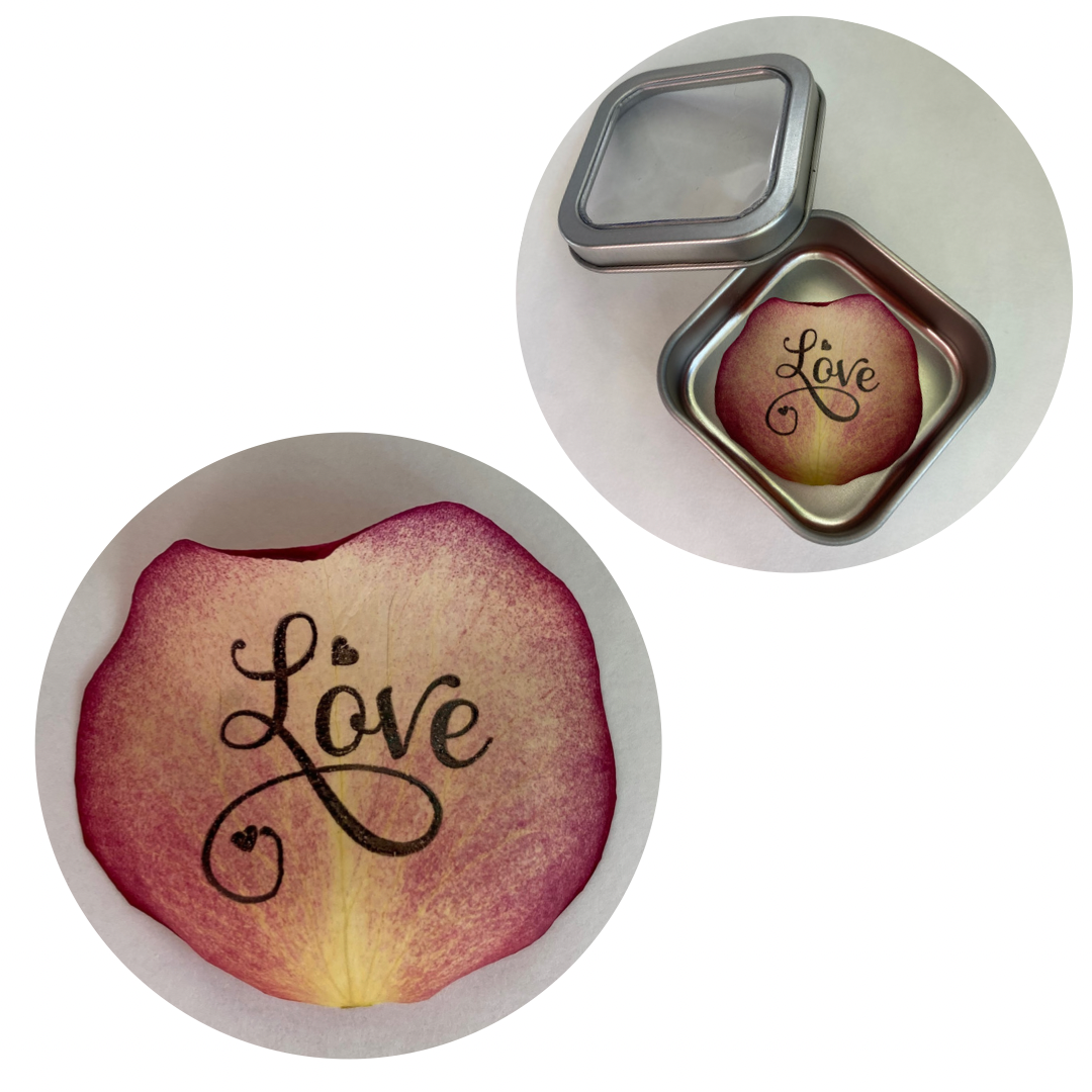 Love Preserved Rose Petal