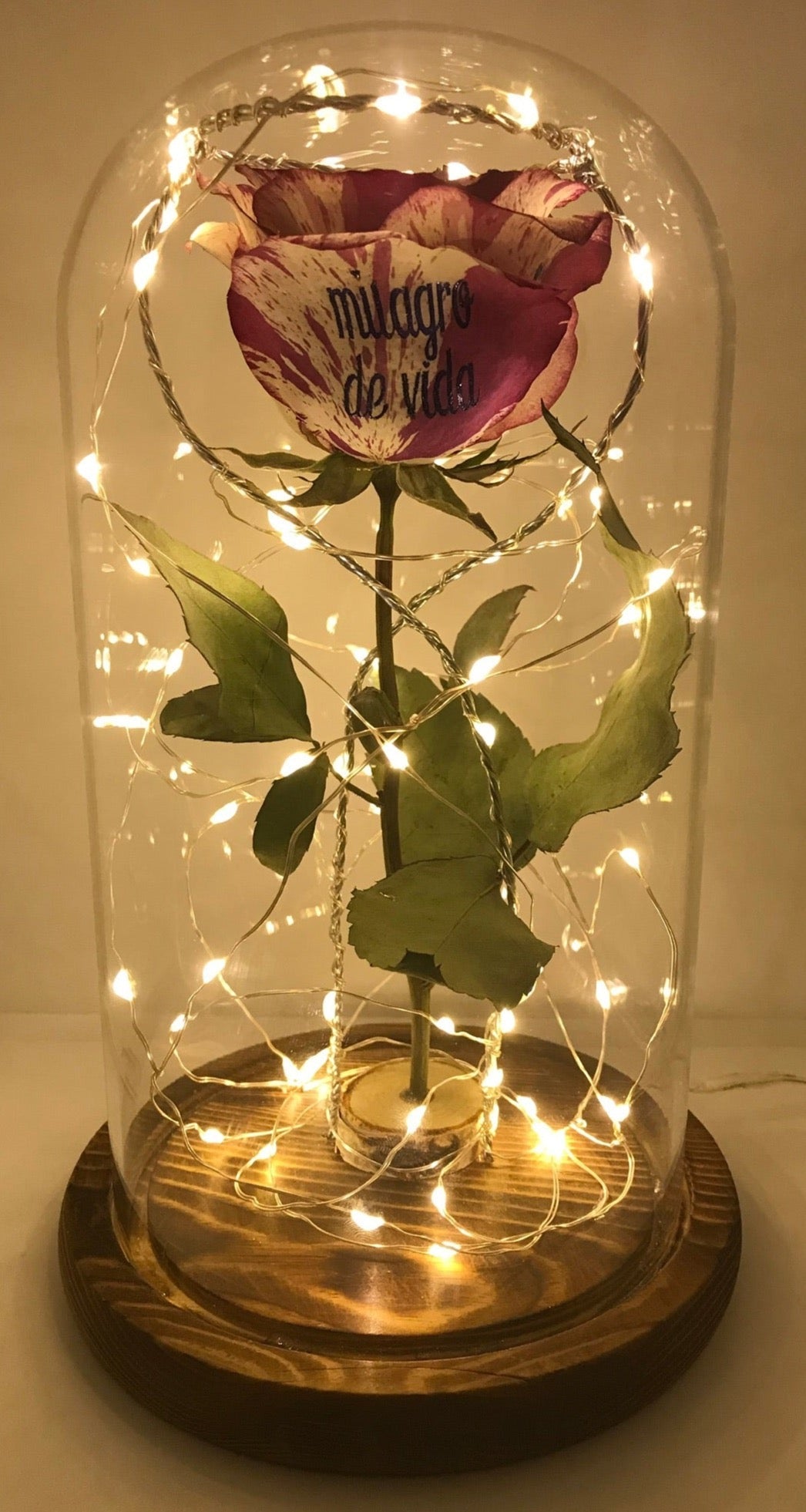 Miracle Enchanted Rose Lamp