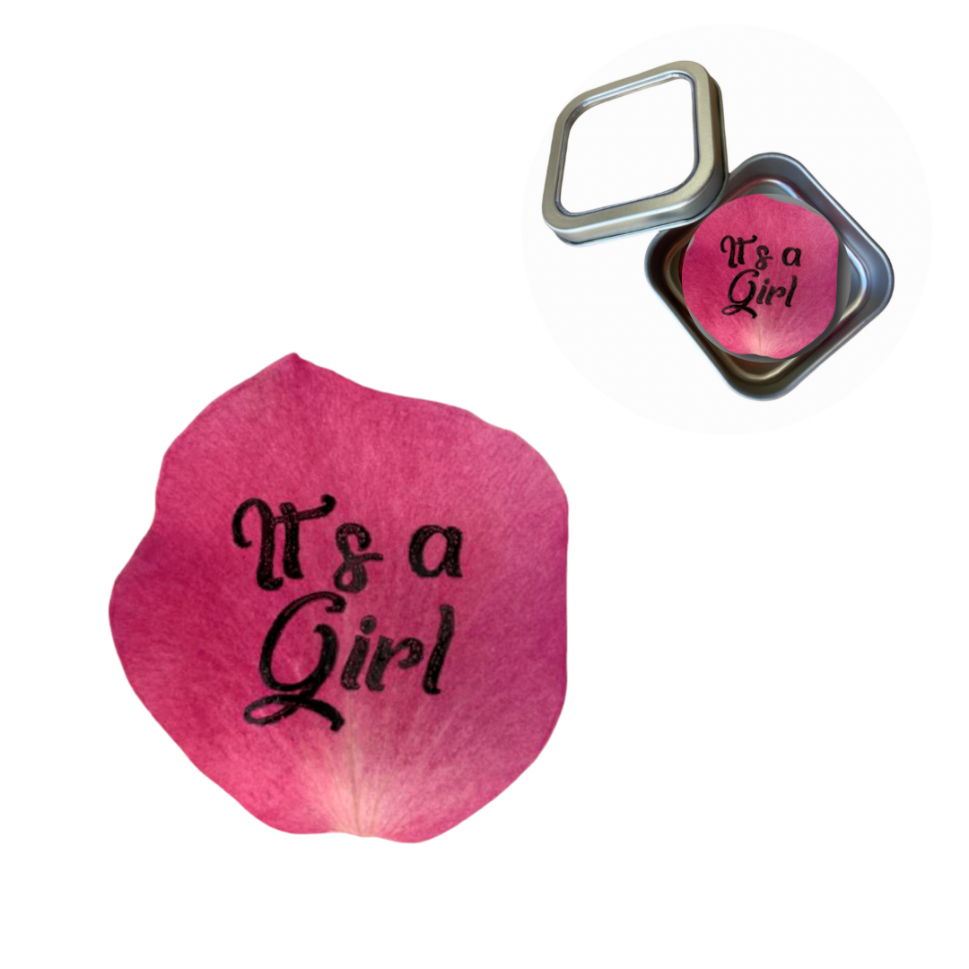 It's a Girl Preserved Rose Petal