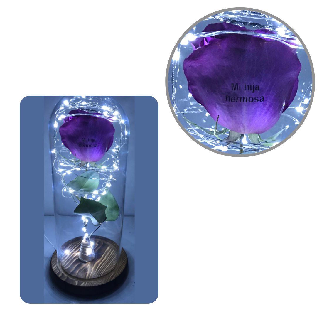 Enchanted Purple Rose Lamp