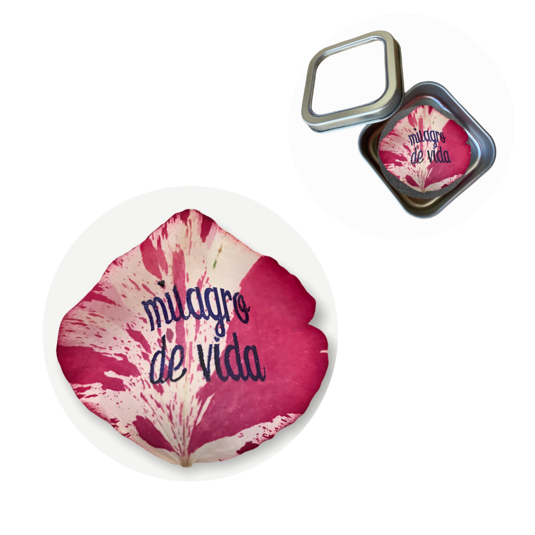 Milagro de Vida Preserved Rose Petal