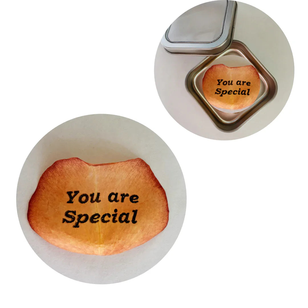 You are Special Preserved Rose Petal