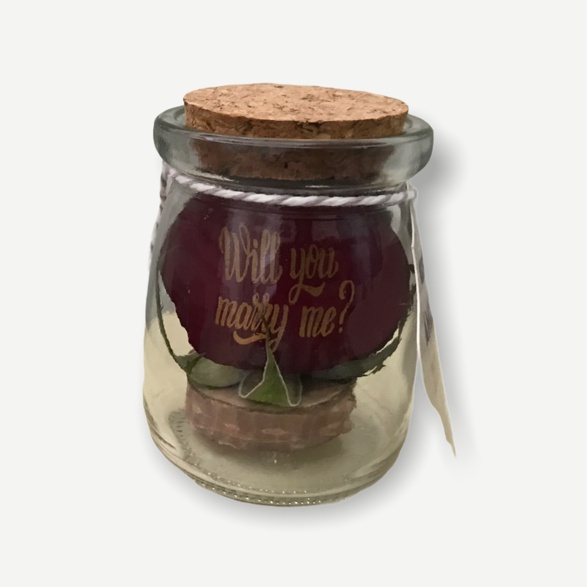 Red Jar Mini Rose